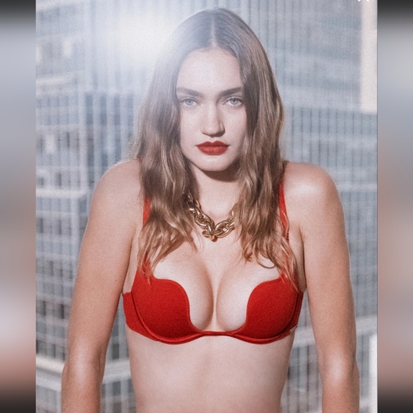 Fleur Du  Mal Other - NWOT FLEUR DU MAL SEDUCE U-PLUNGE BRA  , SZ:32DD